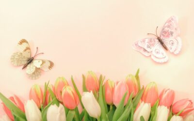 Le courant humaniste : une éthique du lien, une philosophie de la rencontre